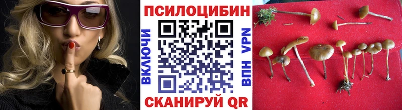 Купить закладки  Каменск-Уральский  Галлюциногенные грибы GOLDEN TEACHER 